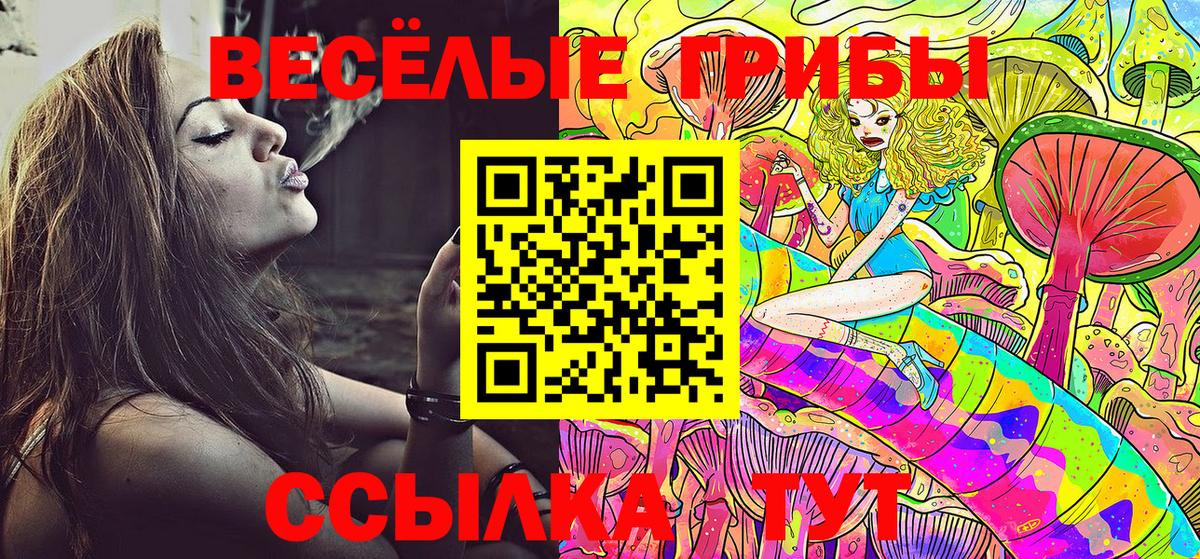 Обнинск  Галлюциногенные грибы прущие грибы  Вход с VPN 